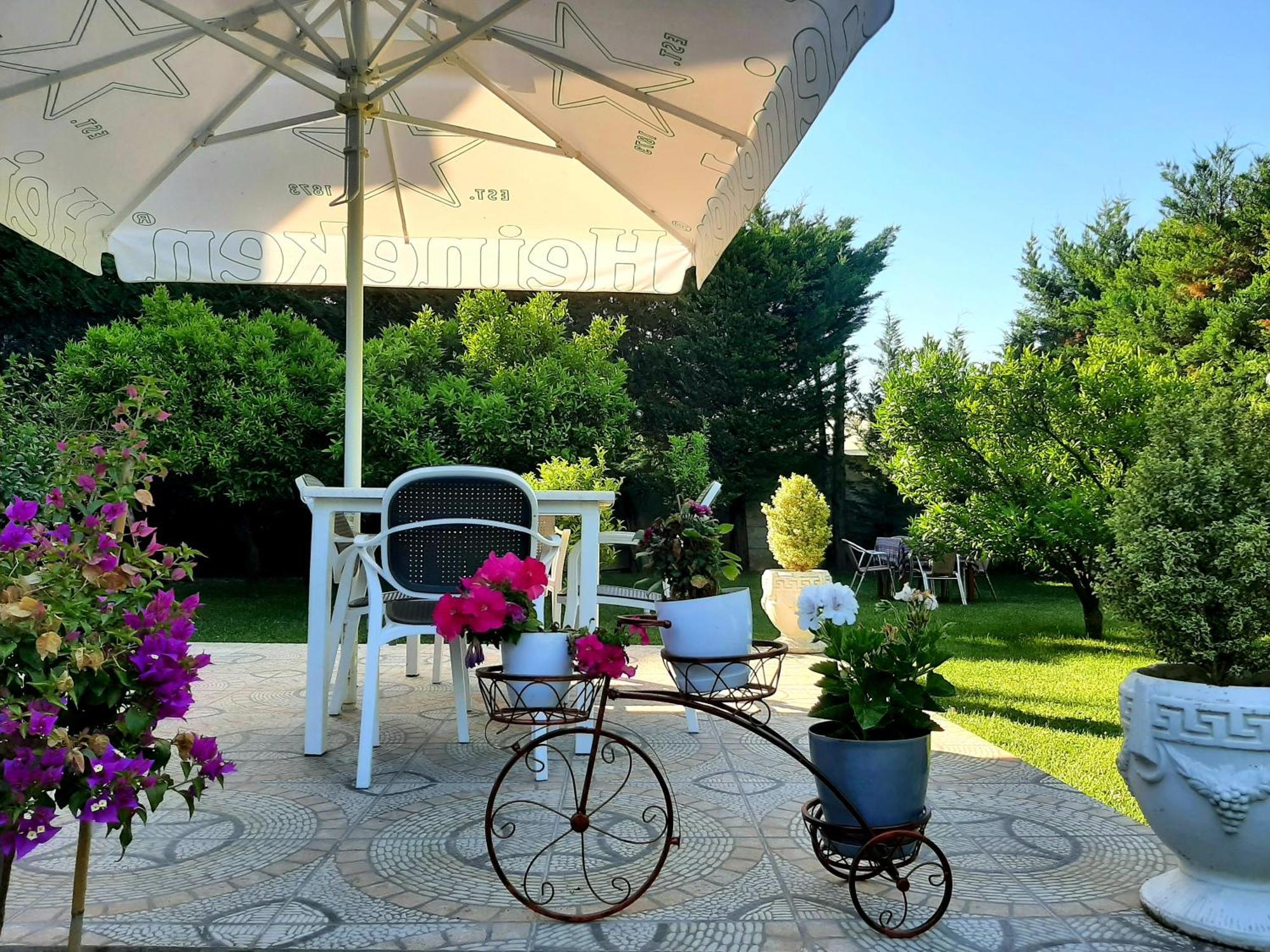 Hotel Vila Arbri Berat Exteriör bild